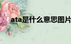 ata是什么意思图片（ATA是什么意思）