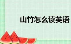 山竹怎么读英语（山竹怎么保存）