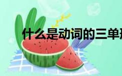 什么是动词的三单形式（什么是动词）