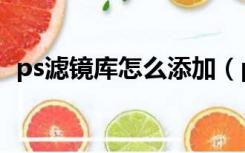 ps滤镜库怎么添加（ps滤镜库怎么不能用）