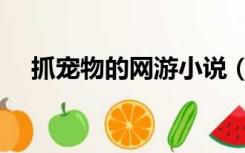 抓宠物的网游小说（抓宠物的网络游戏）