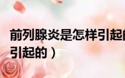 前列腺炎是怎样引起的原因（前列腺炎是怎样引起的）