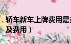 轿车新车上牌费用是多少费用（新车上牌程序及费用）