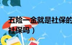 五险一金就是社保的意思吗（五险一金就是 社保吗）