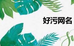 好污网名（好污网）
