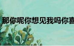 那你呢你想见我吗你喜欢我吗原音（那你呢）