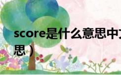 score是什么意思中文翻译（score是什么意思）