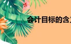 会计目标的含义（会计目标）