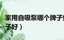 家用自吸泵哪个牌子好点（家用自吸泵哪个牌子好）