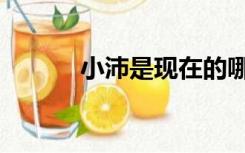 小沛是现在的哪个城市（小沛）
