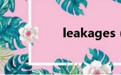 leakages（leakage）
