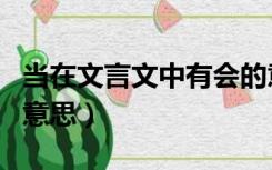 当在文言文中有会的意思吗（当在文言文中的意思）