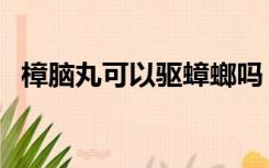 樟脑丸可以驱蟑螂吗（樟脑丸可以驱蟑螂）