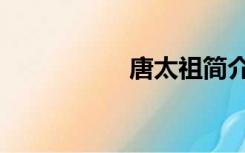 唐太祖简介（唐太祖）
