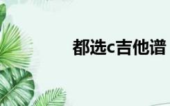 都选c吉他谱（都选c歌词）