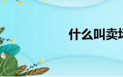 什么叫卖场型旗航店