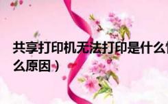 共享打印机无法打印是什么情况（共享打印机无法打印是什么原因）