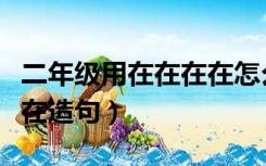 二年级用在在在在怎么造句（二年级用在在在在造句）