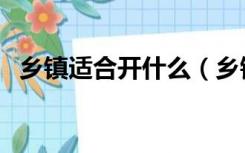 乡镇适合开什么（乡镇适合开什么实体店）