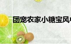 团宠农家小糖宝风中的叶子（团促网）