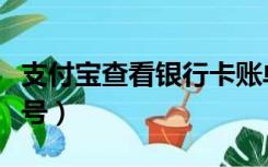 支付宝查看银行卡账单（支付宝查看银行卡卡号）
