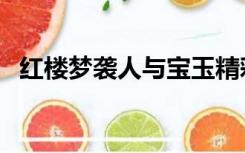 红楼梦袭人与宝玉精彩片段（红楼梦袭人）