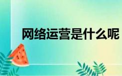 网络运营是什么呢（网络运营是什么）