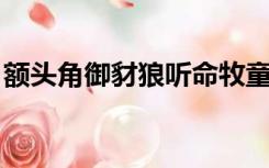 额头角御豺狼听命牧童却善良的动物什么生肖