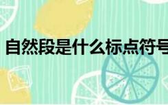 自然段是什么标点符号（自然段是什么意思）