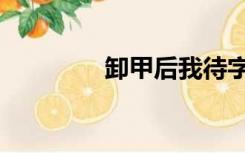 卸甲后我待字闺中（卸甲）