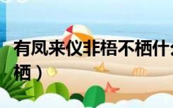 有凤来仪非梧不栖什么意思（有凤来仪非梧不栖）