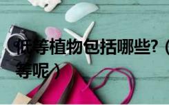 低等植物包括哪些?（低等植物包括哪些类 高等呢）