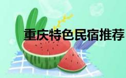 重庆特色民宿推荐（重庆特色(简介)）