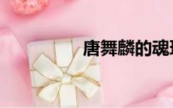 唐舞麟的魂环（唐舞麟）