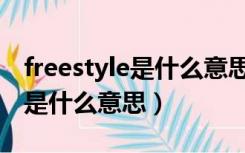 freestyle是什么意思中文怎么读（freestyle是什么意思）
