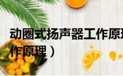 动圈式扬声器工作原理图示（动圈式扬声器工作原理）