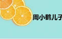 周小鹤儿子（周小鹤）