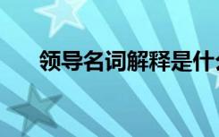领导名词解释是什么（领导名词解释）