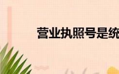 营业执照号是统一社会信用代码