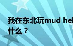 我在东北玩mud hellip hellip的完整歌词是什么？