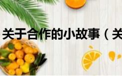 关于合作的小故事（关于合作的小故事50字）