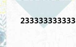 233333333333333是什么意思？
