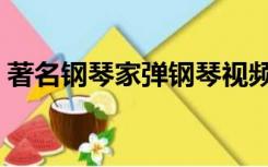 著名钢琴家弹钢琴视频（著名钢琴家有那些）