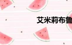 艾米莉布鲁姆种子全集