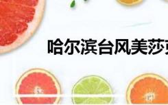 哈尔滨台风美莎克（哈尔滨台风）