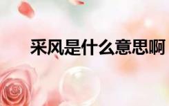 采风是什么意思啊（采风是什么意思）