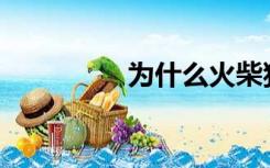 为什么火柴狗被锁住了？