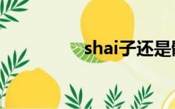 shai子还是骰子（shai）