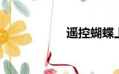 遥控蝴蝶上街的体验