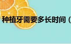 种植牙需要多长时间（种植牙需要多长时间）